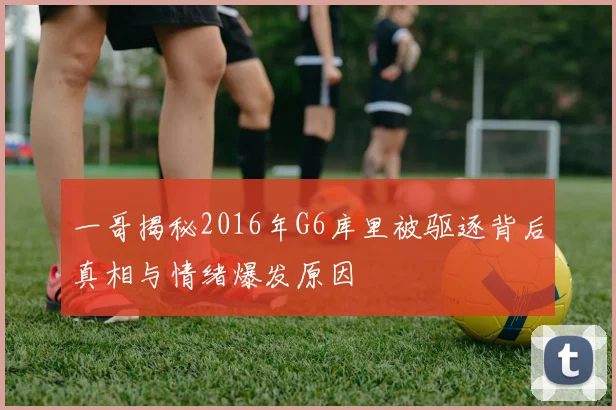 一哥揭秘2016年G6库里被驱逐背后真相与情绪爆发原因